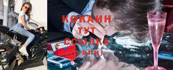 соль ск Алзамай