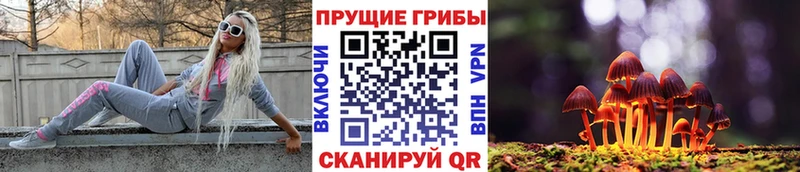 OMG ссылка Алушта Псилоцибиновые грибы GOLDEN TEACHER